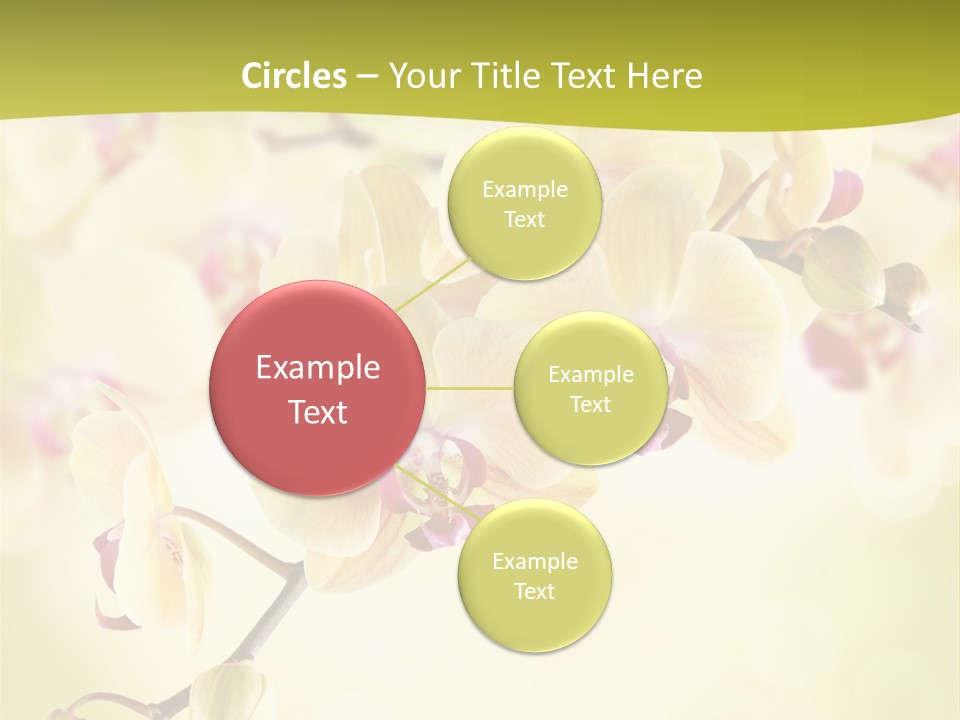 Nature Light Bokeh PowerPoint Template