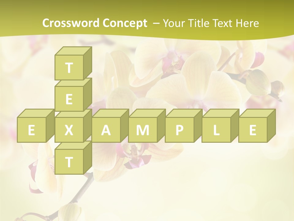 Nature Light Bokeh PowerPoint Template