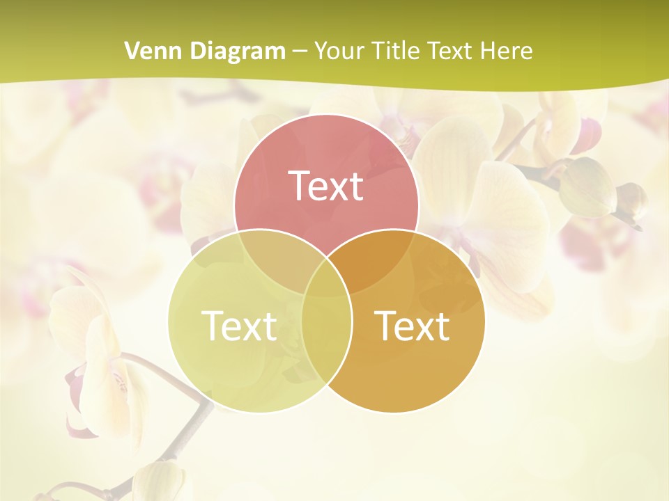 Nature Light Bokeh PowerPoint Template