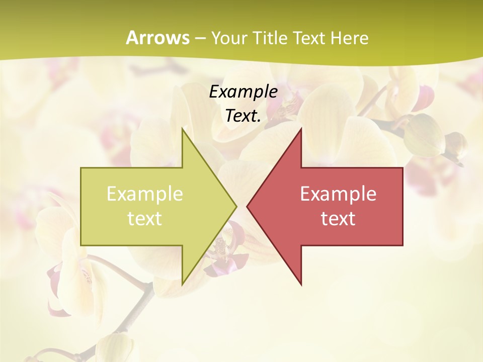 Nature Light Bokeh PowerPoint Template