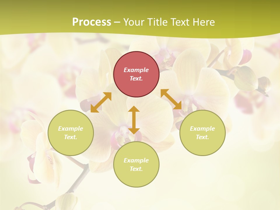 Nature Light Bokeh PowerPoint Template
