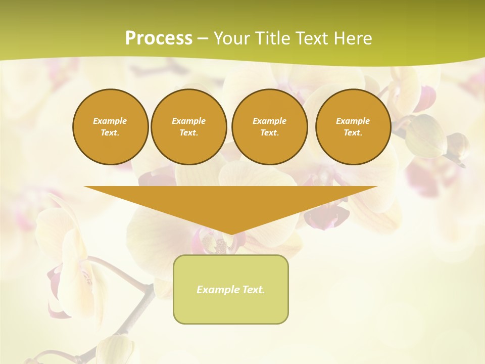 Nature Light Bokeh PowerPoint Template