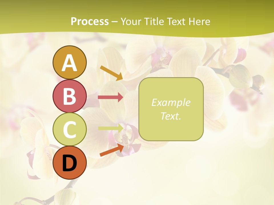 Nature Light Bokeh PowerPoint Template