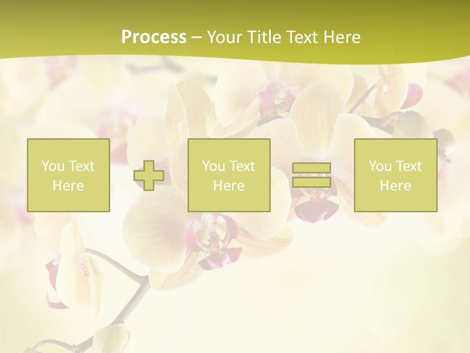 Nature Light Bokeh PowerPoint Template