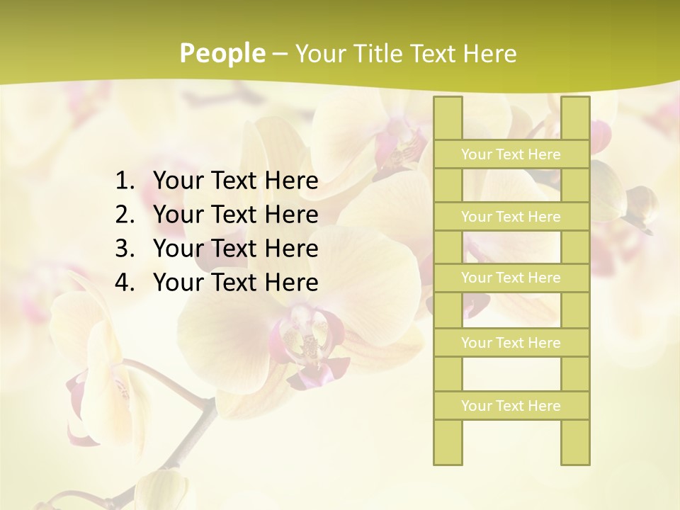 Nature Light Bokeh PowerPoint Template