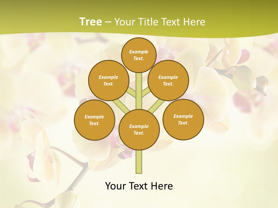 Nature Light Bokeh PowerPoint Template