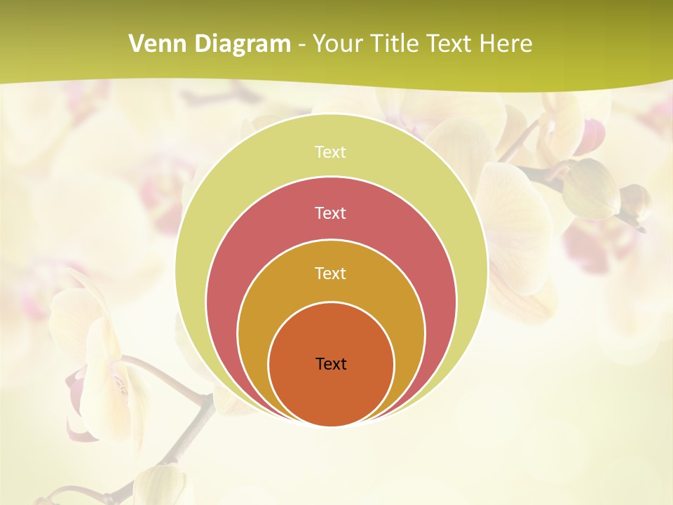 Nature Light Bokeh PowerPoint Template