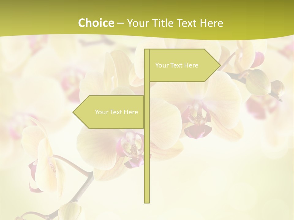 Nature Light Bokeh PowerPoint Template