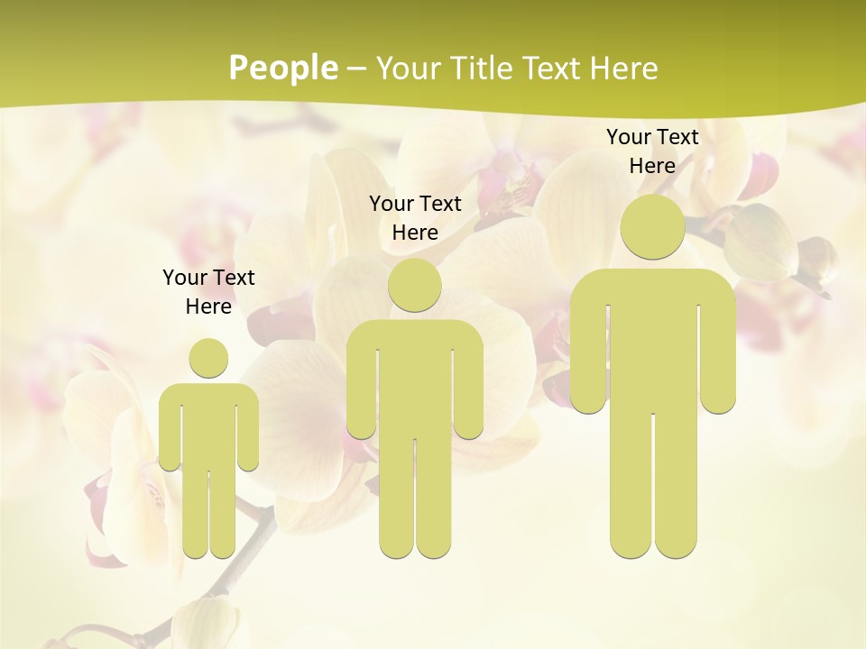 Nature Light Bokeh PowerPoint Template