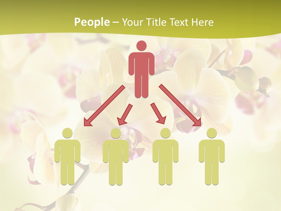 Nature Light Bokeh PowerPoint Template