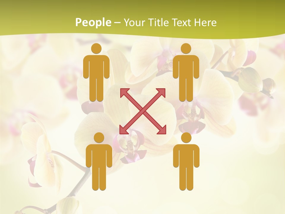 Nature Light Bokeh PowerPoint Template