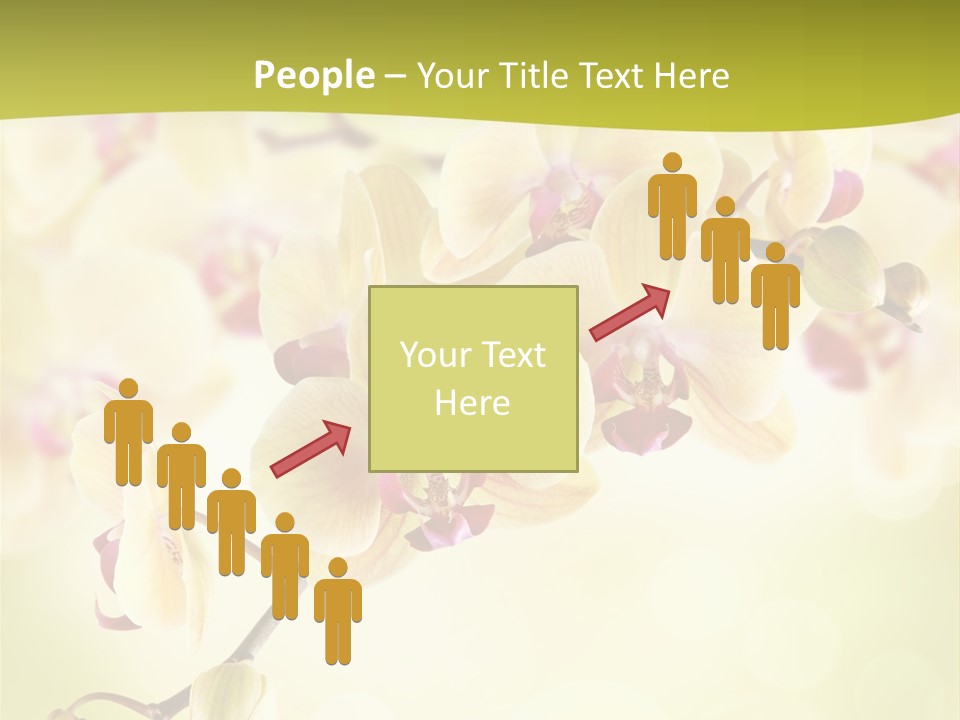 Nature Light Bokeh PowerPoint Template