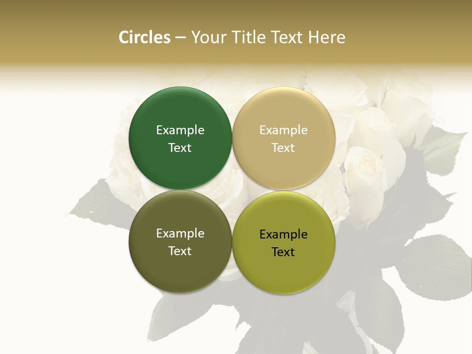 Rose Spring Bud PowerPoint Template