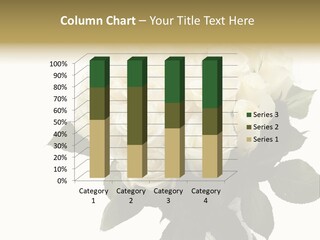 Rose Spring Bud PowerPoint Template