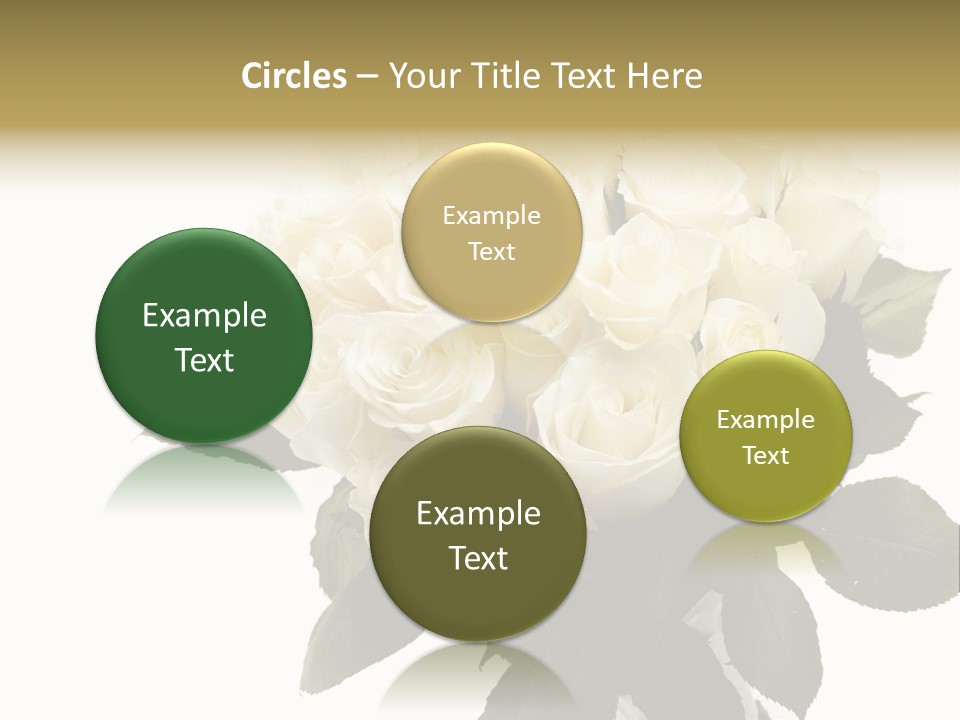 Rose Spring Bud PowerPoint Template