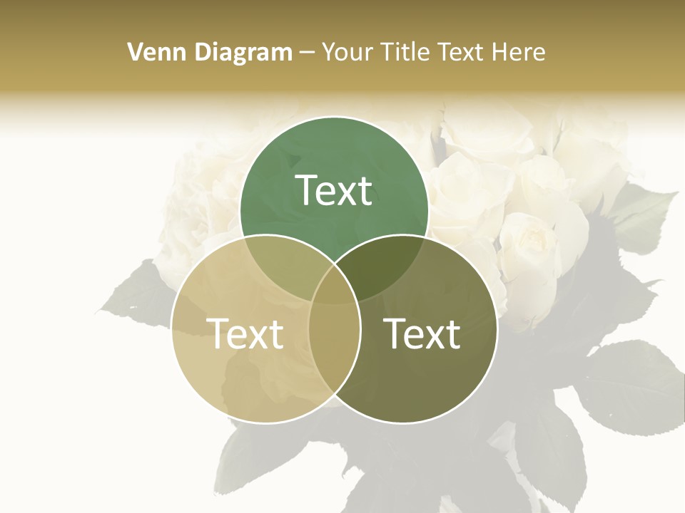 Rose Spring Bud PowerPoint Template