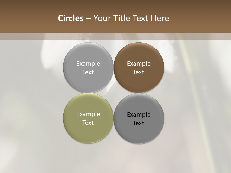 Valentines Life Plant PowerPoint Template