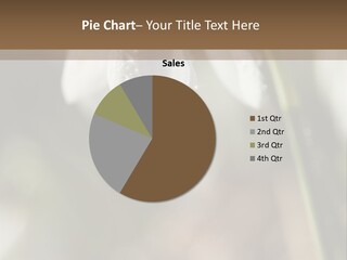 Valentines Life Plant PowerPoint Template