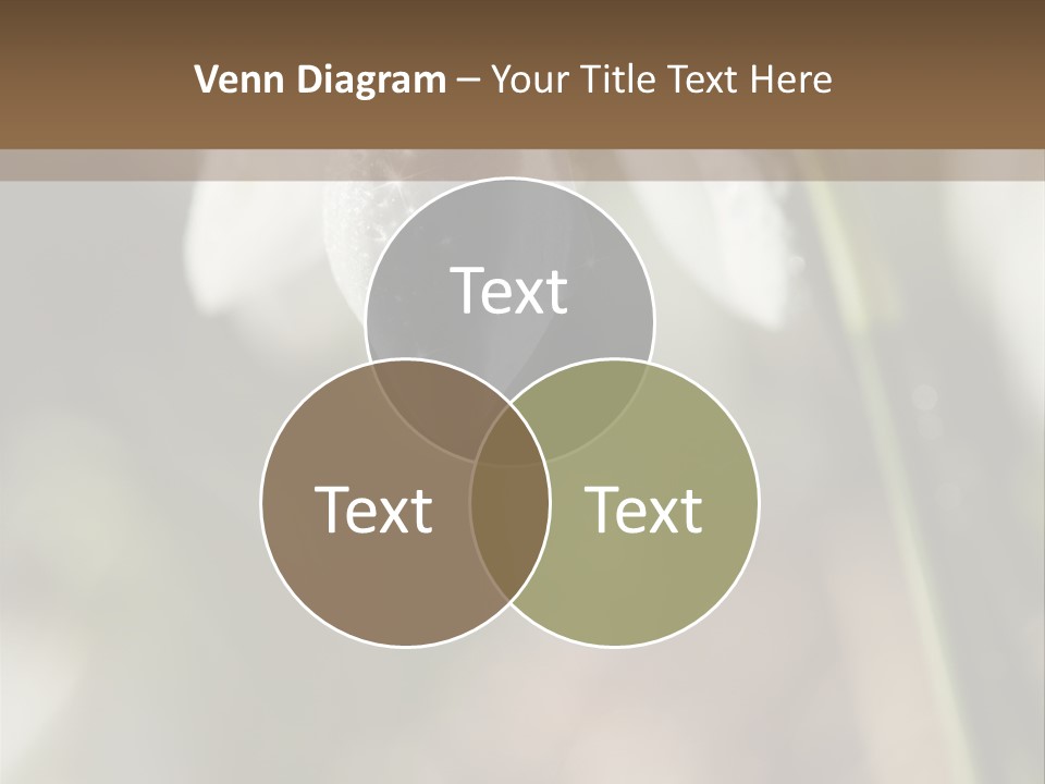 Valentines Life Plant PowerPoint Template