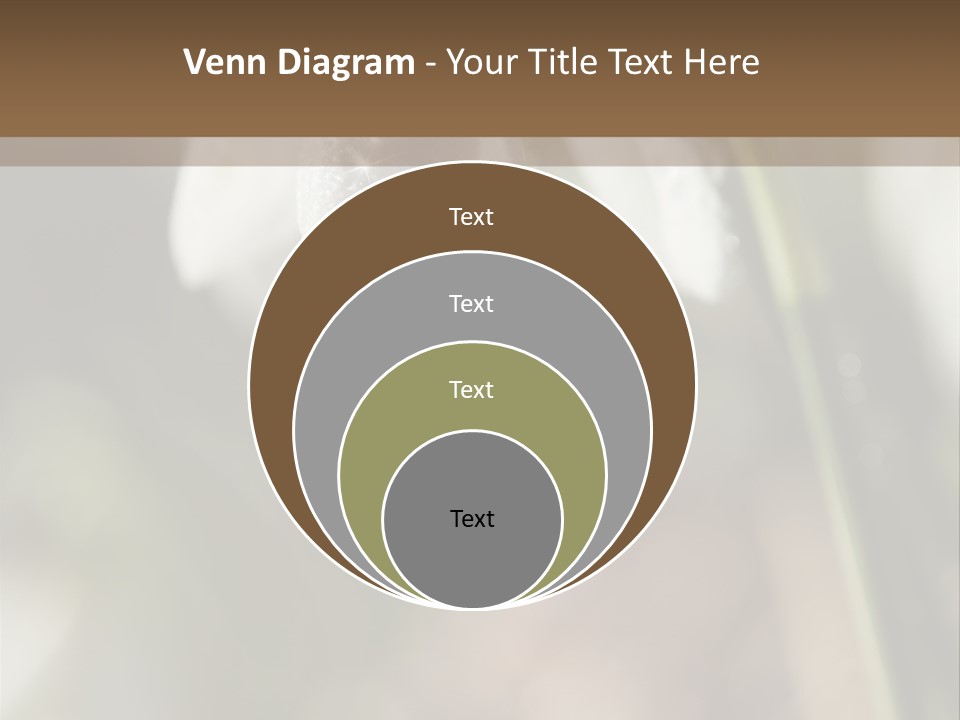 Valentines Life Plant PowerPoint Template