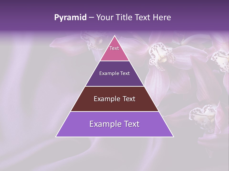 Texture Focus Violet PowerPoint Template