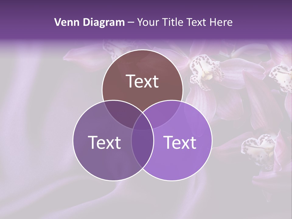 Texture Focus Violet PowerPoint Template