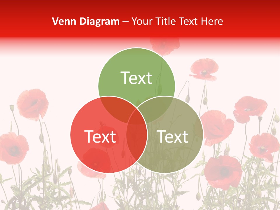 Beauty Green Decorative PowerPoint Template