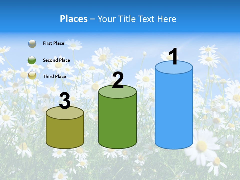 Businesswoman Leader Deal PowerPoint Template