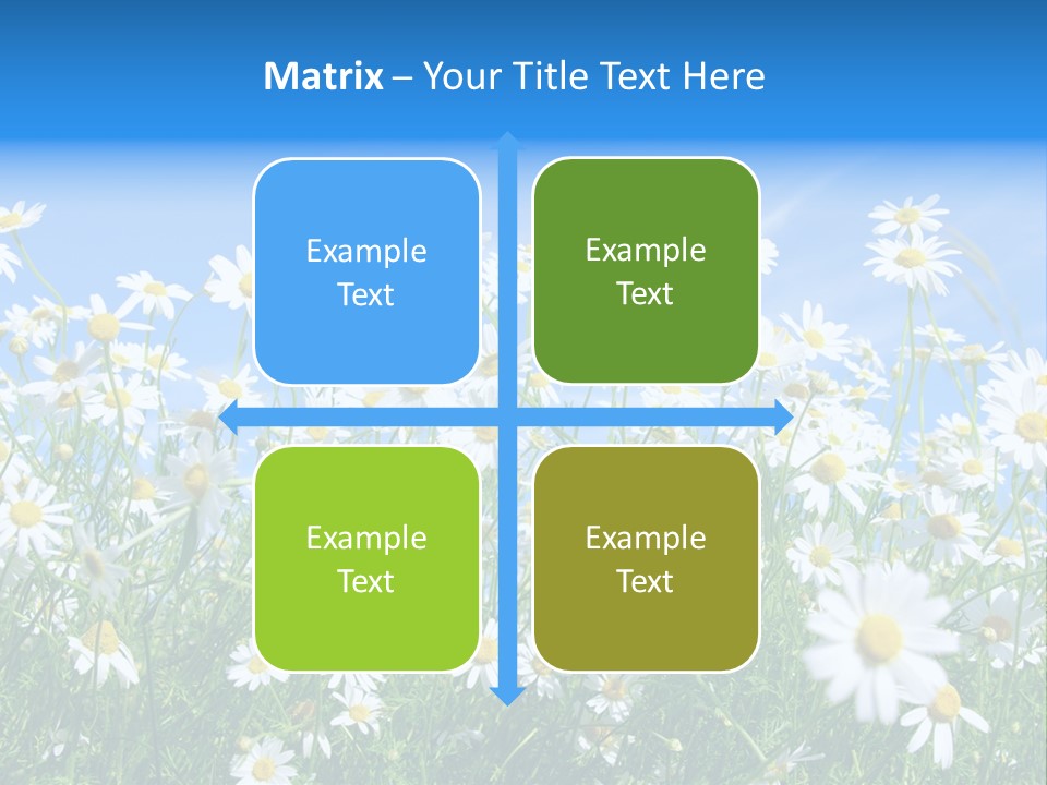 Businesswoman Leader Deal PowerPoint Template