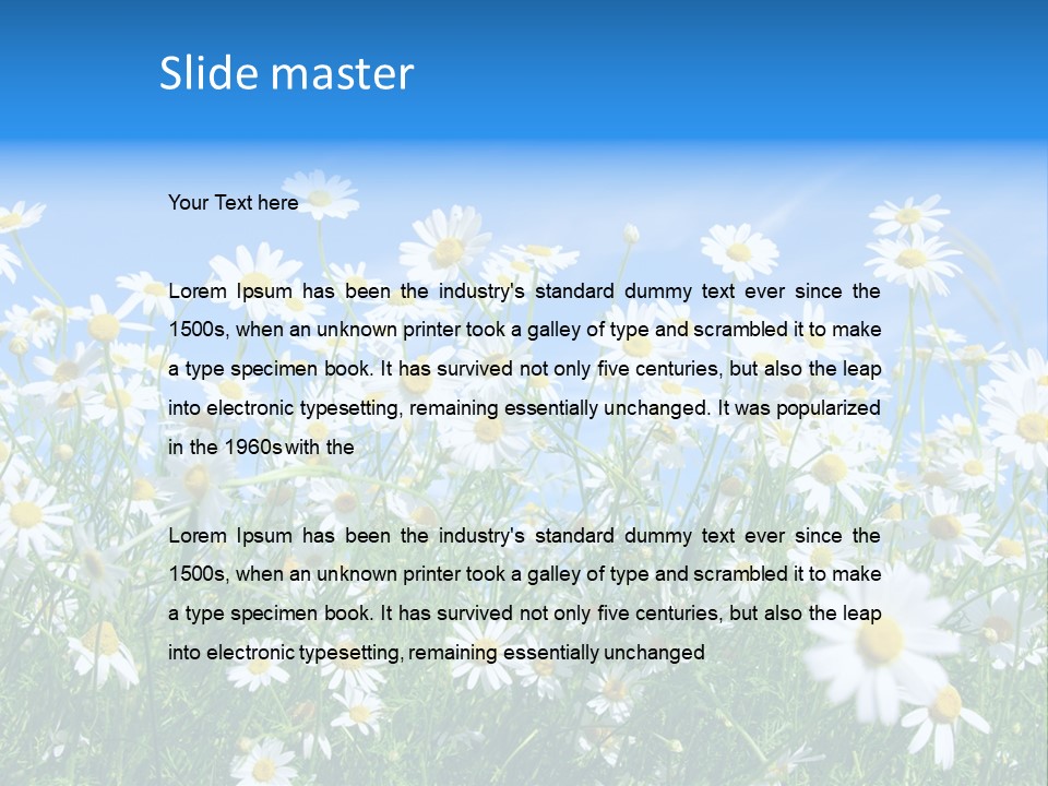 Businesswoman Leader Deal PowerPoint Template