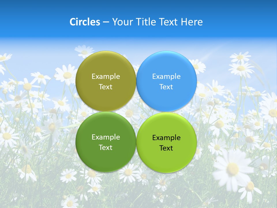 Businesswoman Leader Deal PowerPoint Template