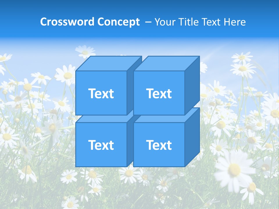 Businesswoman Leader Deal PowerPoint Template