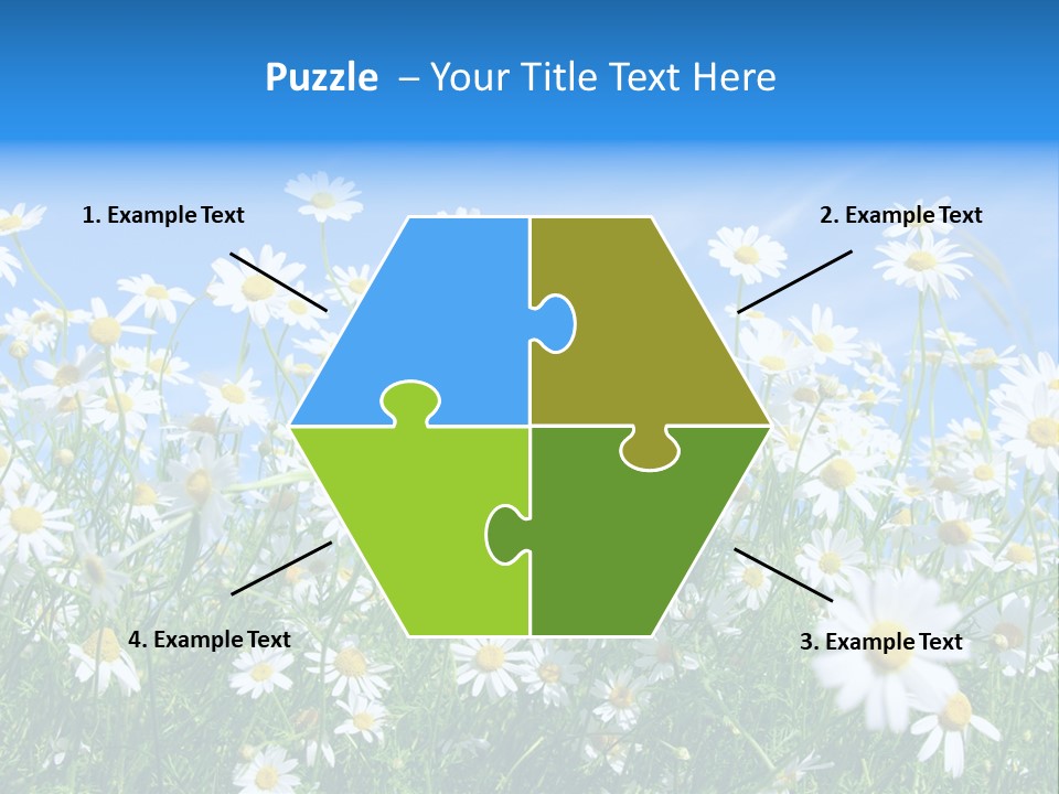 Businesswoman Leader Deal PowerPoint Template