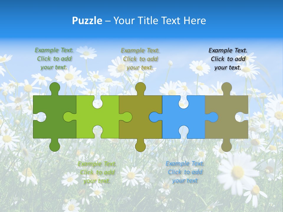 Businesswoman Leader Deal PowerPoint Template