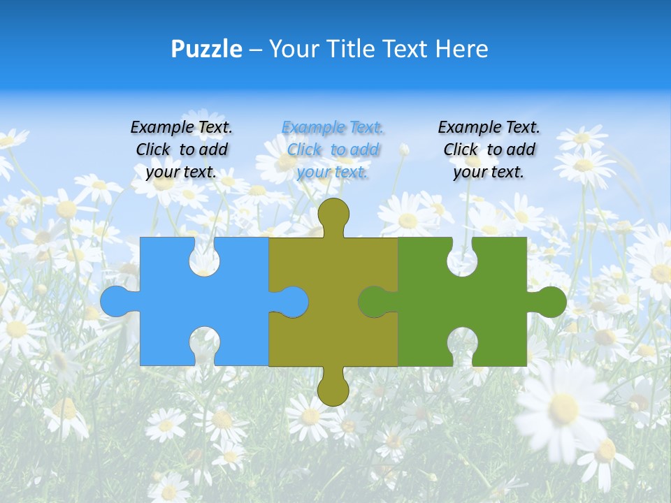 Businesswoman Leader Deal PowerPoint Template