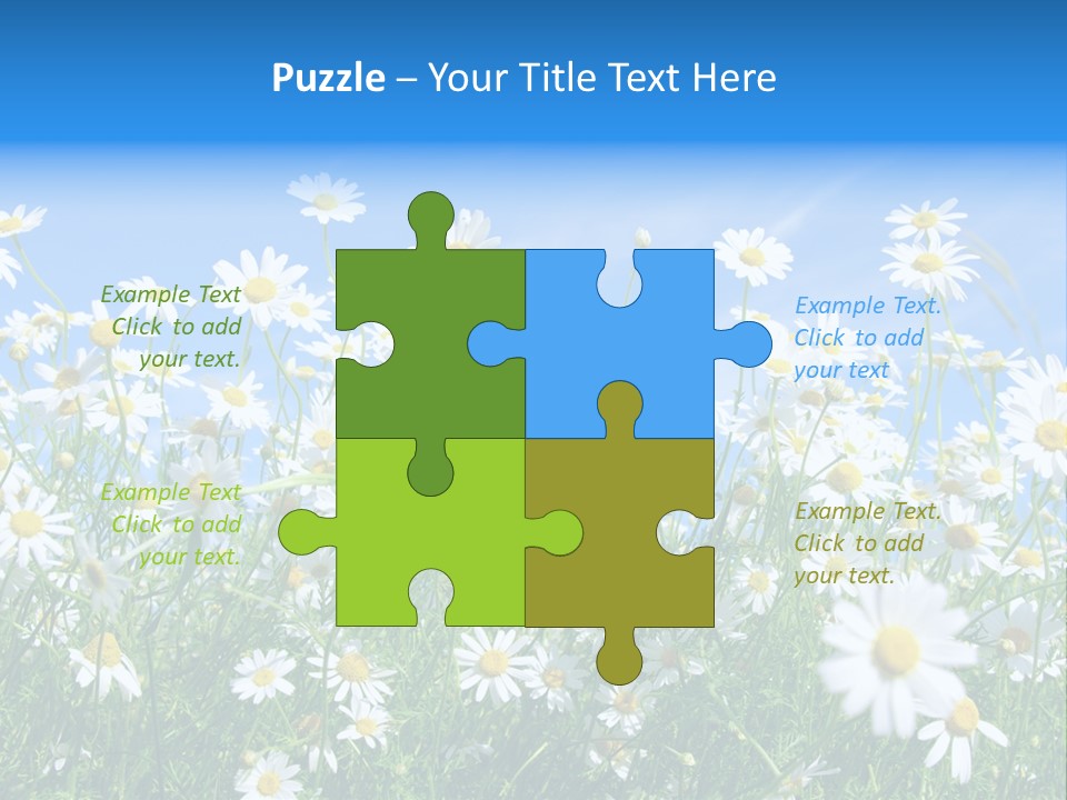 Businesswoman Leader Deal PowerPoint Template