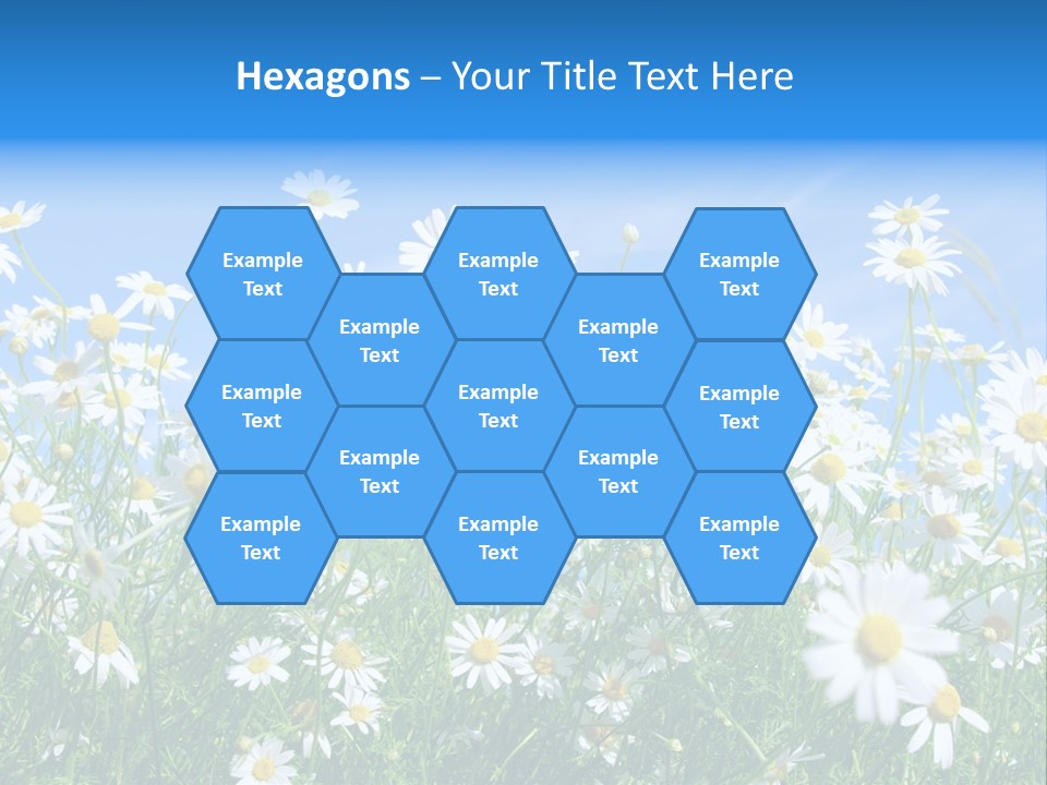 Businesswoman Leader Deal PowerPoint Template