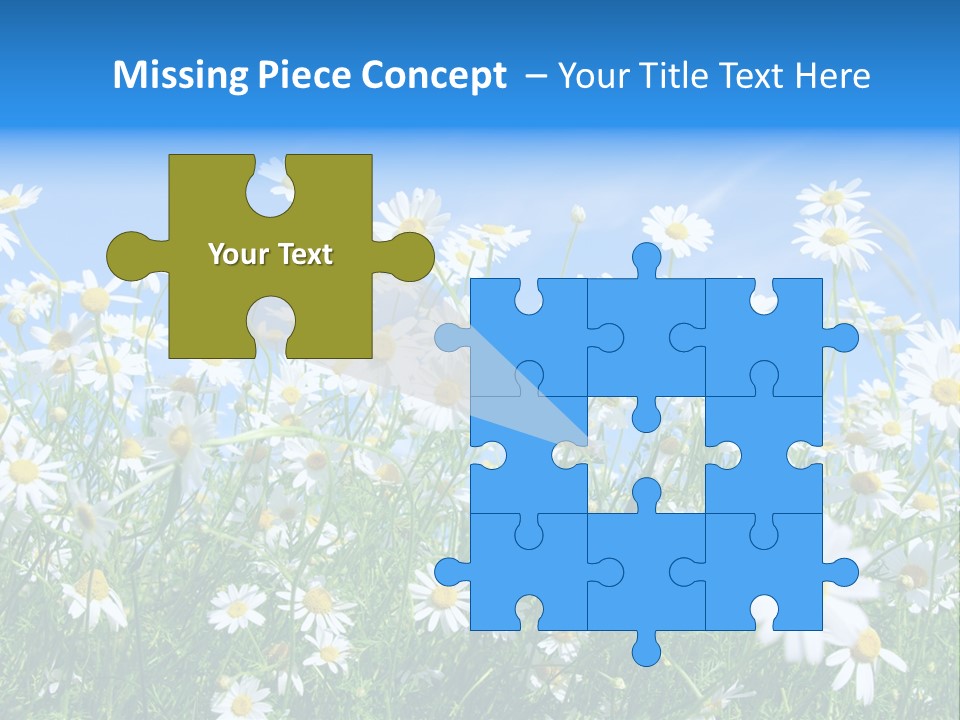 Businesswoman Leader Deal PowerPoint Template