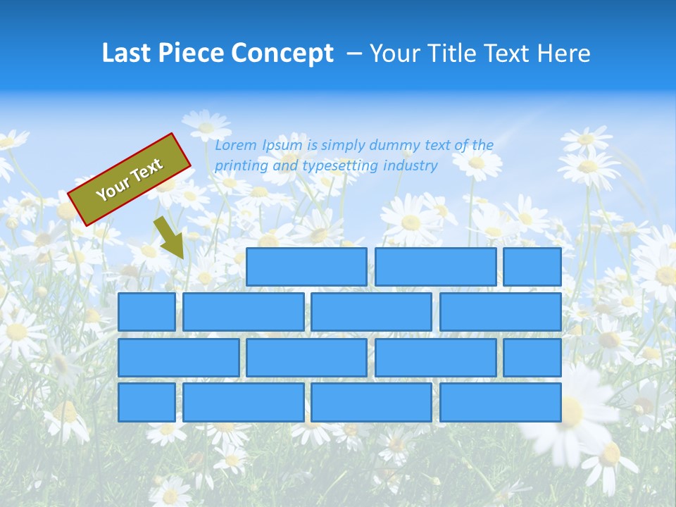 Businesswoman Leader Deal PowerPoint Template