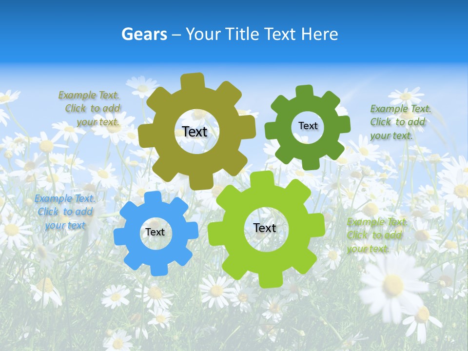 Businesswoman Leader Deal PowerPoint Template