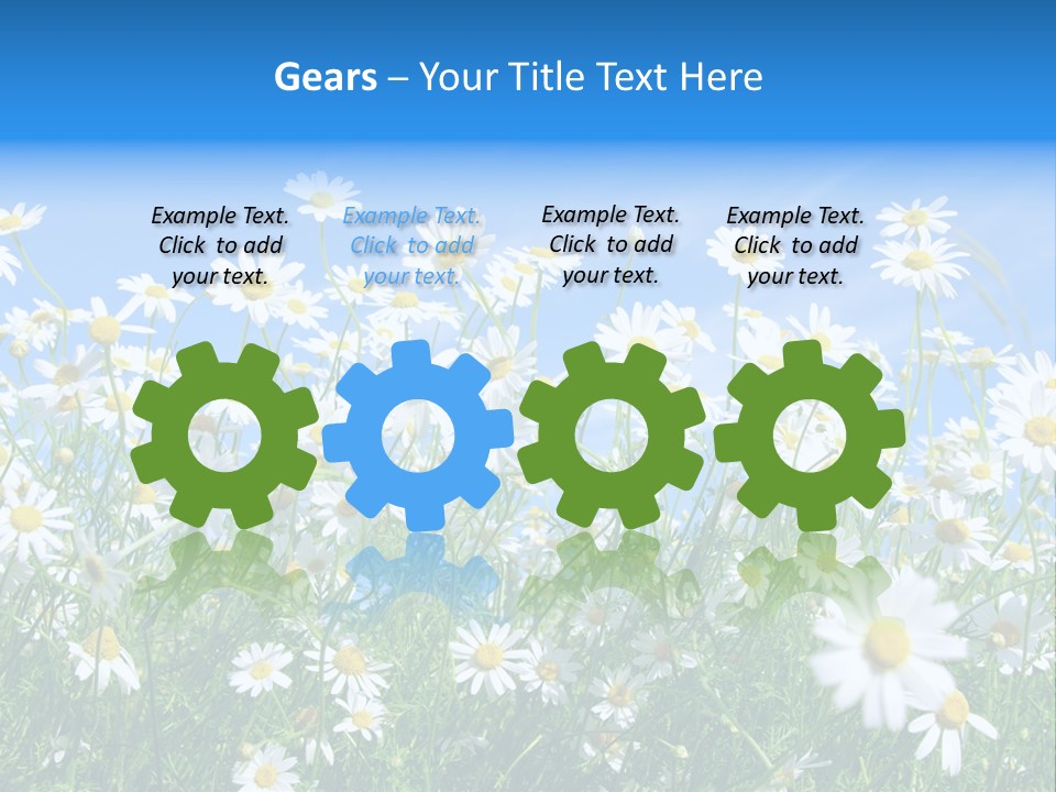 Businesswoman Leader Deal PowerPoint Template