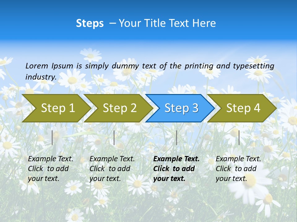 Businesswoman Leader Deal PowerPoint Template