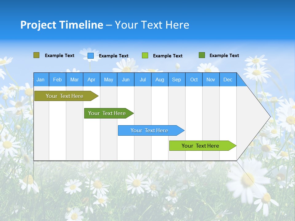 Businesswoman Leader Deal PowerPoint Template