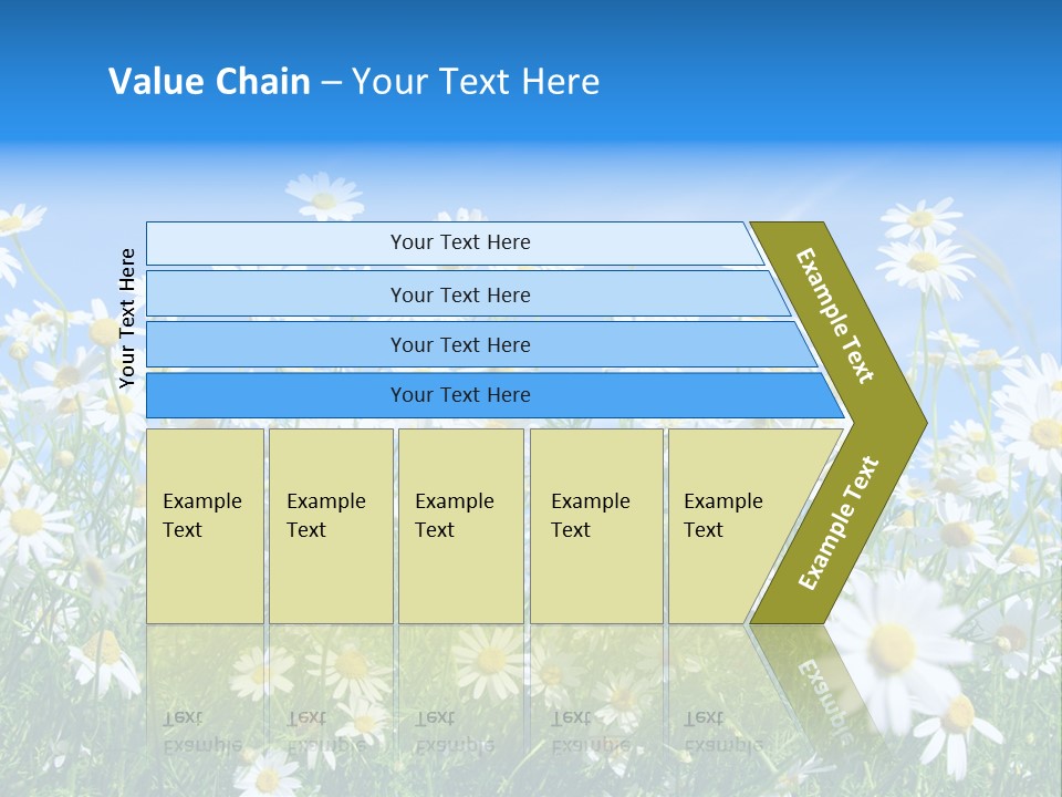 Businesswoman Leader Deal PowerPoint Template