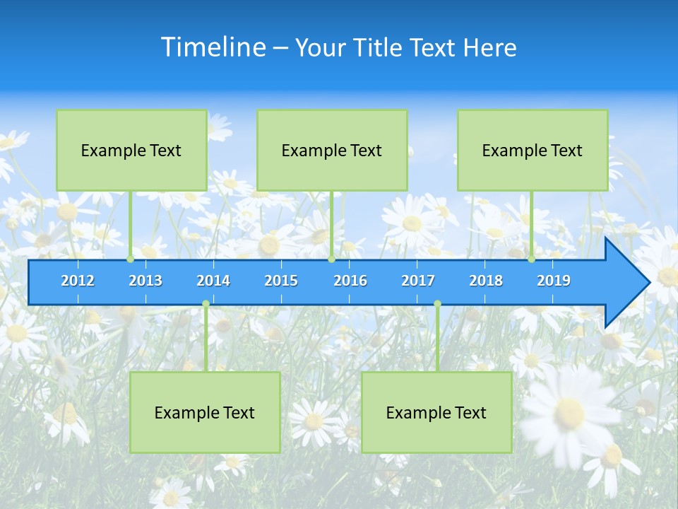Businesswoman Leader Deal PowerPoint Template