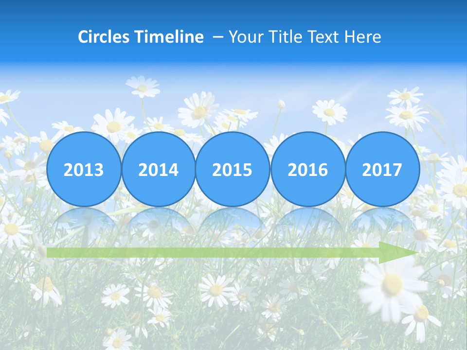 Businesswoman Leader Deal PowerPoint Template