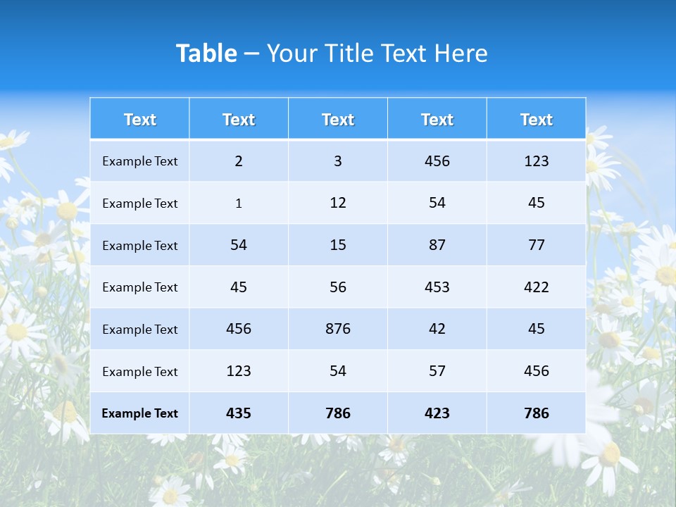 Businesswoman Leader Deal PowerPoint Template