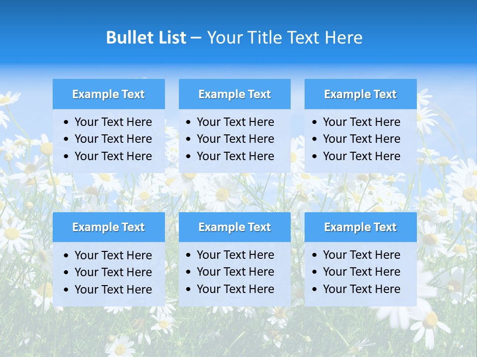 Businesswoman Leader Deal PowerPoint Template