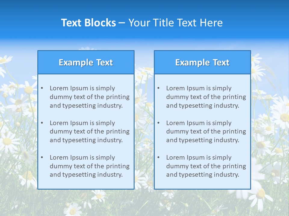 Businesswoman Leader Deal PowerPoint Template