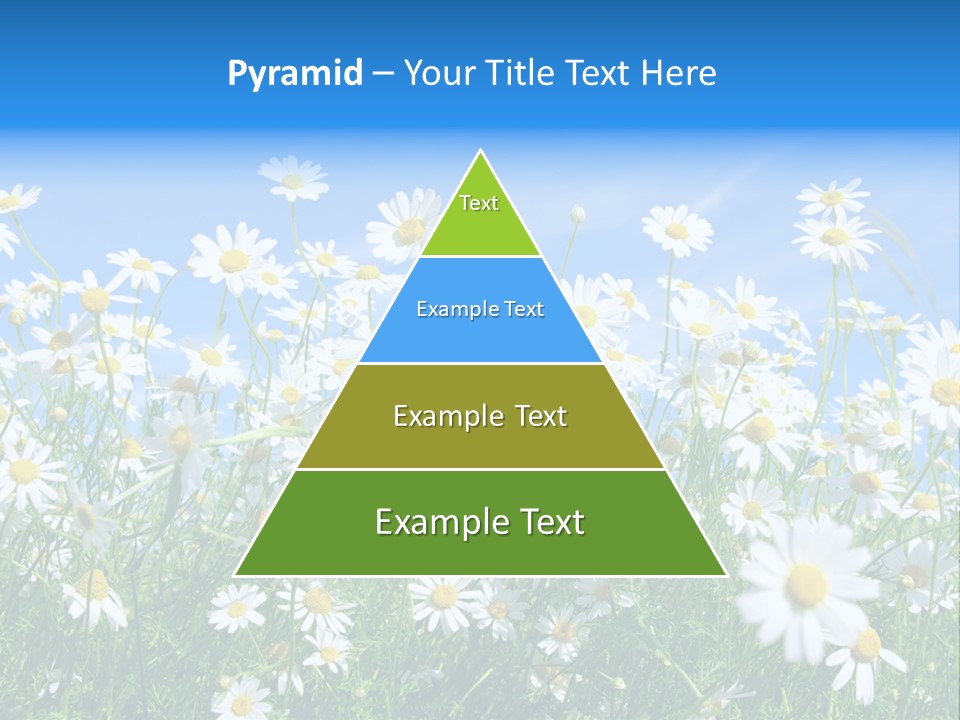 Businesswoman Leader Deal PowerPoint Template